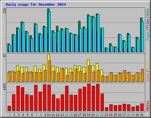 Daily usage for December 2024