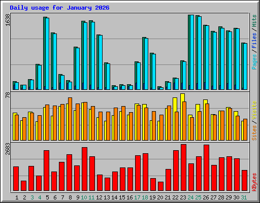 Daily usage for January 2026