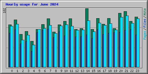 Hourly usage for June 2024
