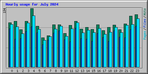 Hourly usage for July 2024