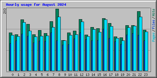 Hourly usage for August 2024