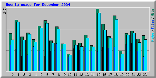 Hourly usage for December 2024