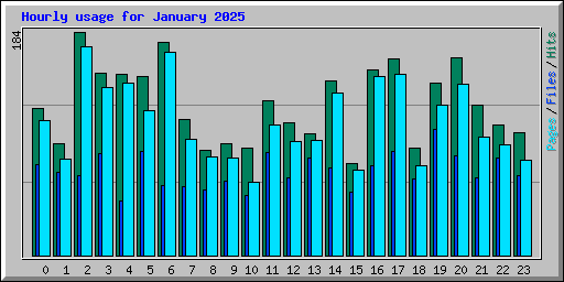 Hourly usage for January 2025