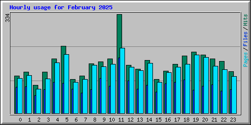 Hourly usage for February 2025