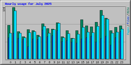 Hourly usage for July 2025