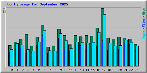 Hourly usage for September 2025