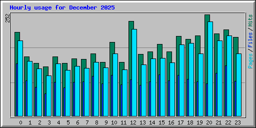 Hourly usage for December 2025