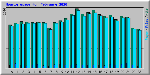 Hourly usage for February 2026